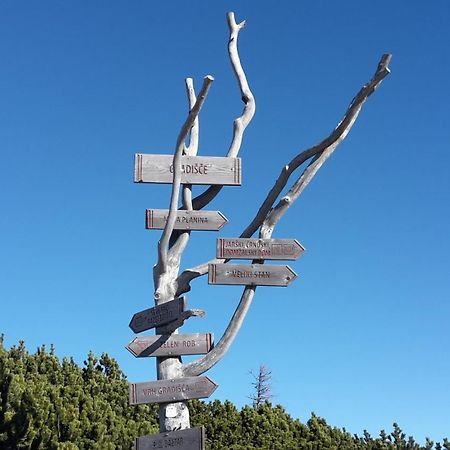 Chalet Zlatica Velika Planina Stahovica Luaran gambar