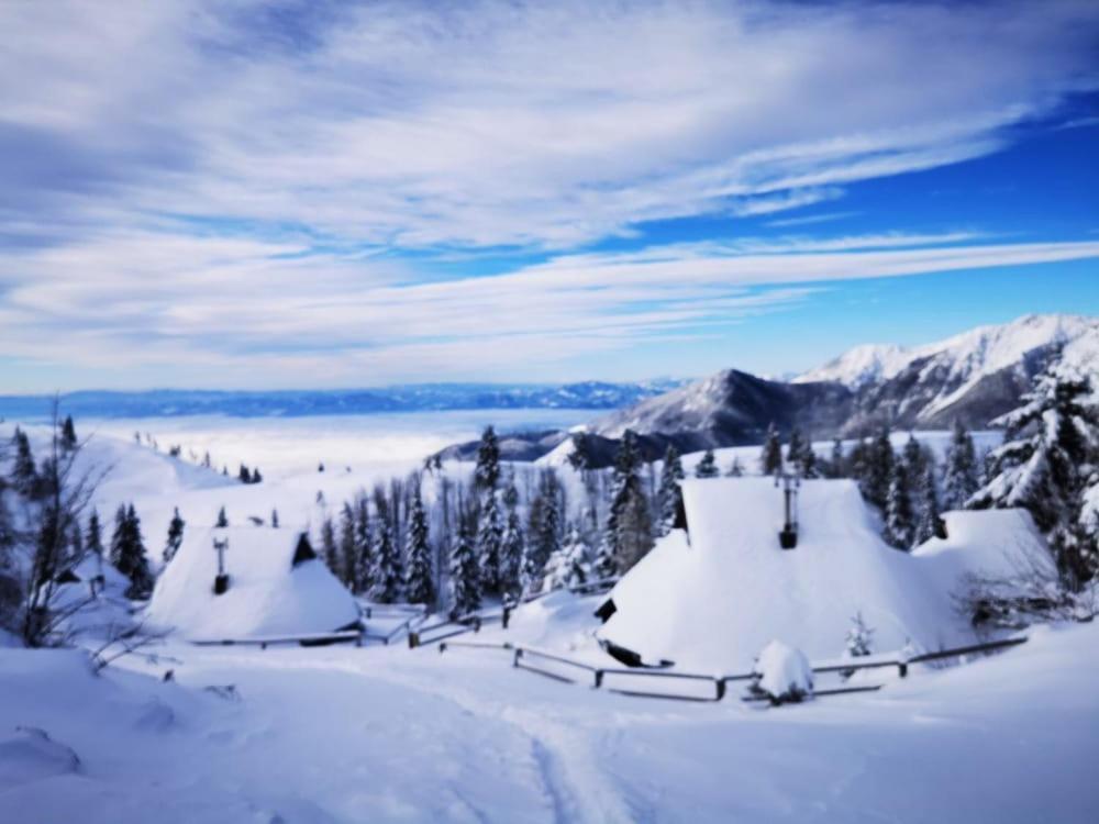 Chalet Zlatica Velika Planina Stahovica Luaran gambar