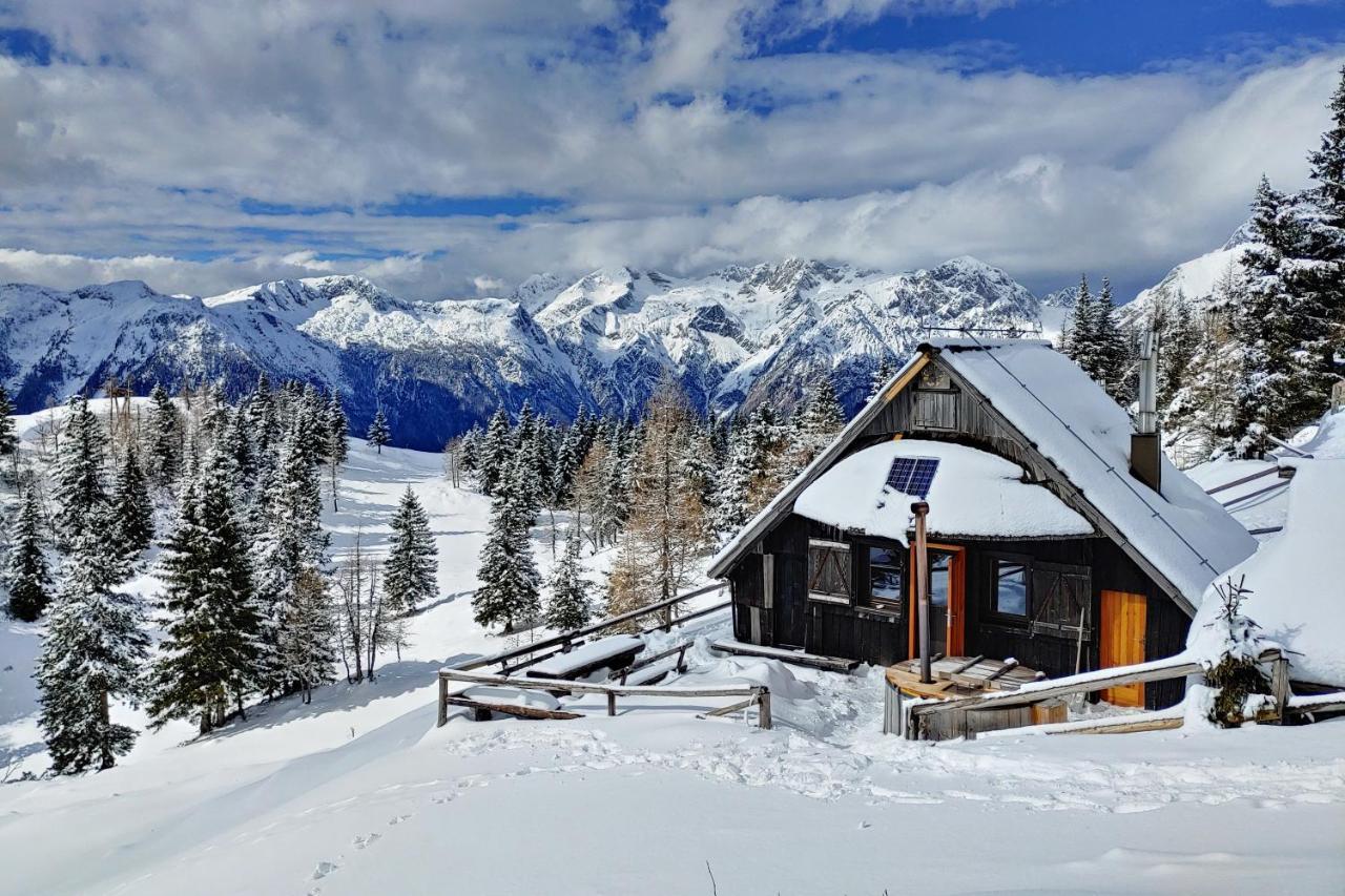 Chalet Zlatica Velika Planina Stahovica Luaran gambar