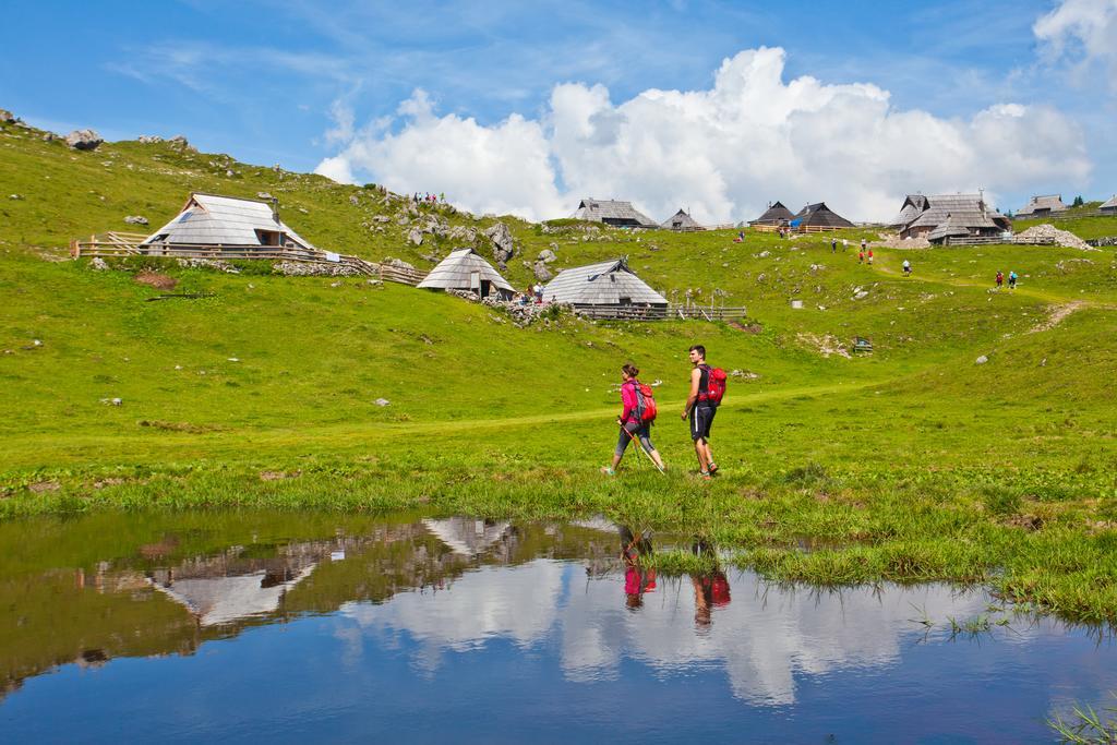 Chalet Zlatica Velika Planina Stahovica Luaran gambar