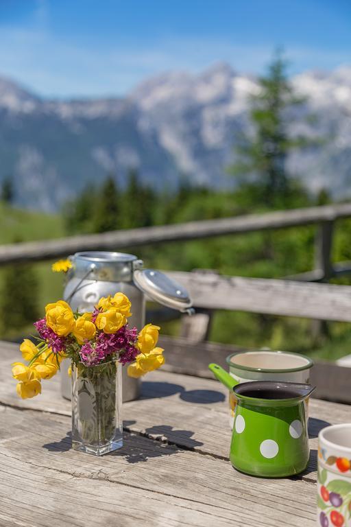 Chalet Zlatica Velika Planina Stahovica Luaran gambar